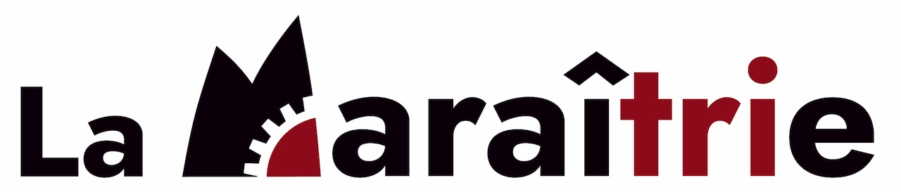 L art De La Seconde Vie Une Ressourcerie Mara chine L art De La Seconde Vie Une Ressourcerie Mara chine